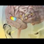Tinnitus Treatment – Causes and treatment of tinnitus